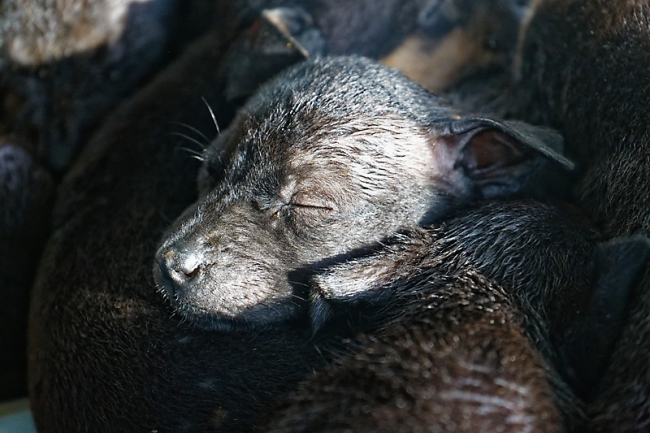 Famille et amis-MAI17-019